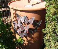 Water Collectors